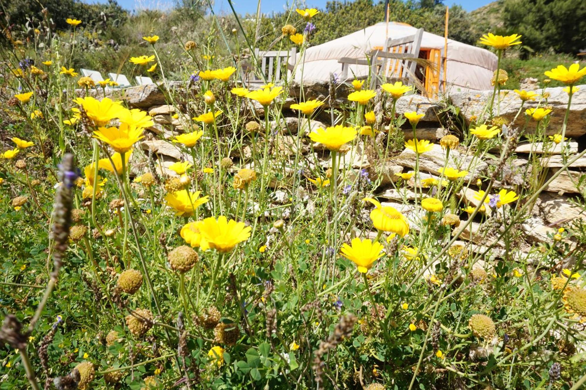 Bed & Breakfast Alegria Y Luna Sorbas Exterior foto
